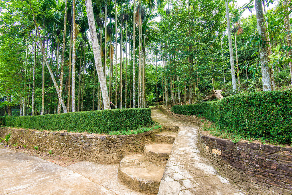 ngao du lang co loc yen dep nhu tranh ve cua xu quang