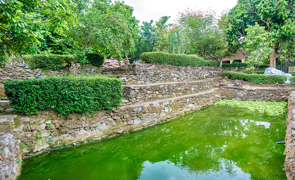 ngao du lang co loc yen dep nhu tranh ve cua xu quang