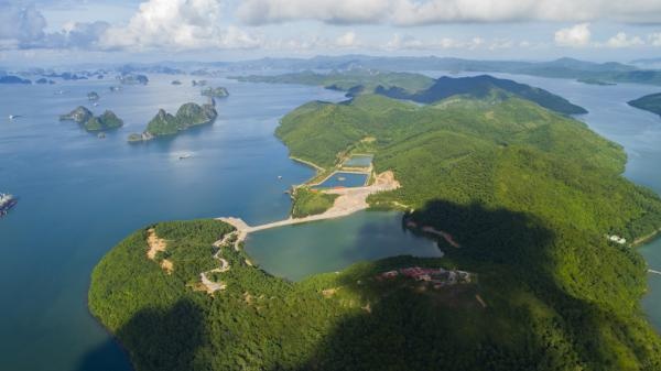 Đảo Thẻ Vàng-nơi có đại công trường trái phép giữa vịnh Bái Tử Long dao the vang noi co dai cong truong trai phep giua vinh bai tu long