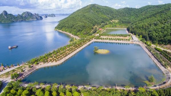 Đảo Thẻ Vàng-nơi có đại công trường trái phép giữa vịnh Bái Tử Long dao the vang noi co dai cong truong trai phep giua vinh bai tu long