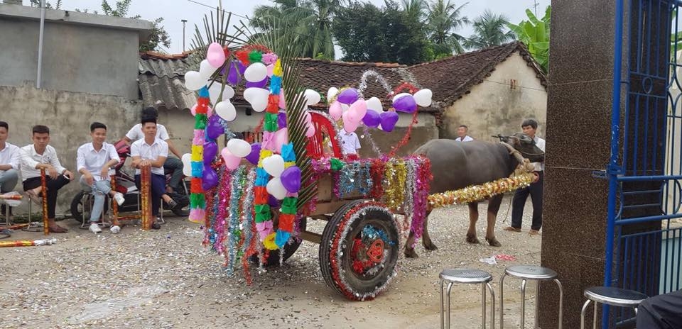 Được rước dâu bằng xe trâu, cô dâu cười hạnh phúc mãn nguyện duoc ruoc dau bang xe trau co dau cuoi hanh phuc man nguyen