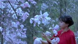 vi sao phu nu van yeu va tiep tuc chung song voi ke danh dap minh