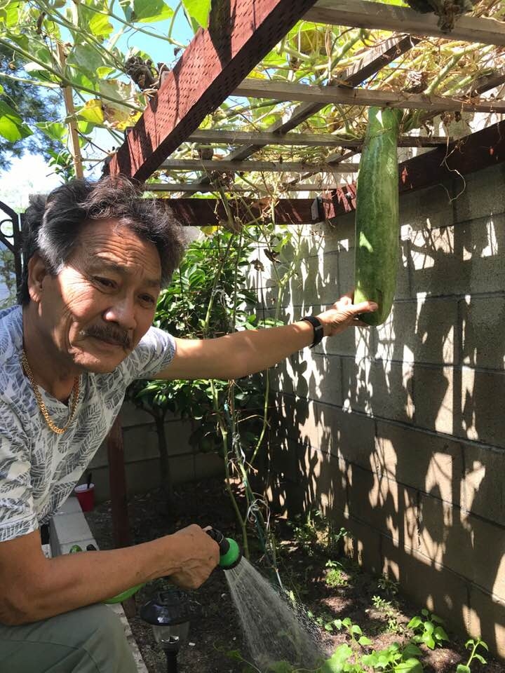 Vợ chồng ca sĩ Hương Lan tự trồng rau Việt trong căn nhà 1.000 m2 ở Mỹ vo chong ca si huong lan tu trong rau viet trong can nha 1000 m2 o my