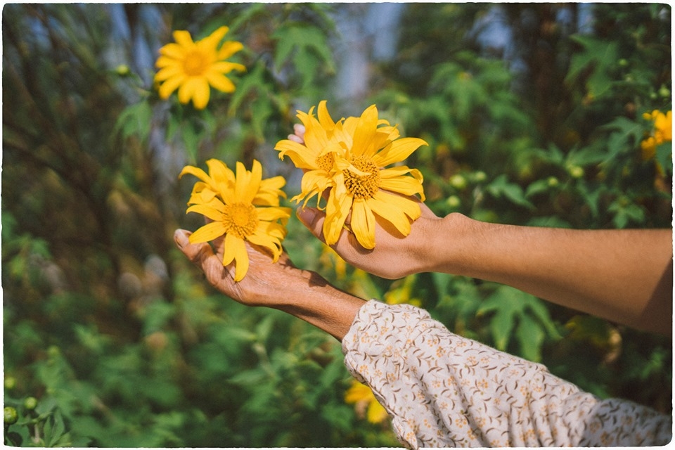 Bộ ảnh "Chuyến đi thanh xuân cùng mẹ" gây xúc động vì tình mẫu tử thiêng liêng bo anh chuyen di thanh xuan cung me gay xuc dong vi tinh mau tu thieng lieng