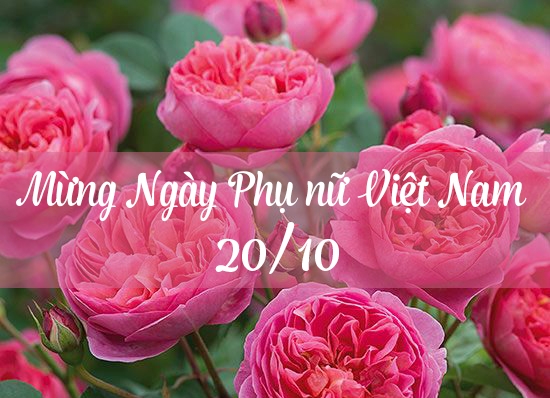 loi chuc 20 10 hay nhat