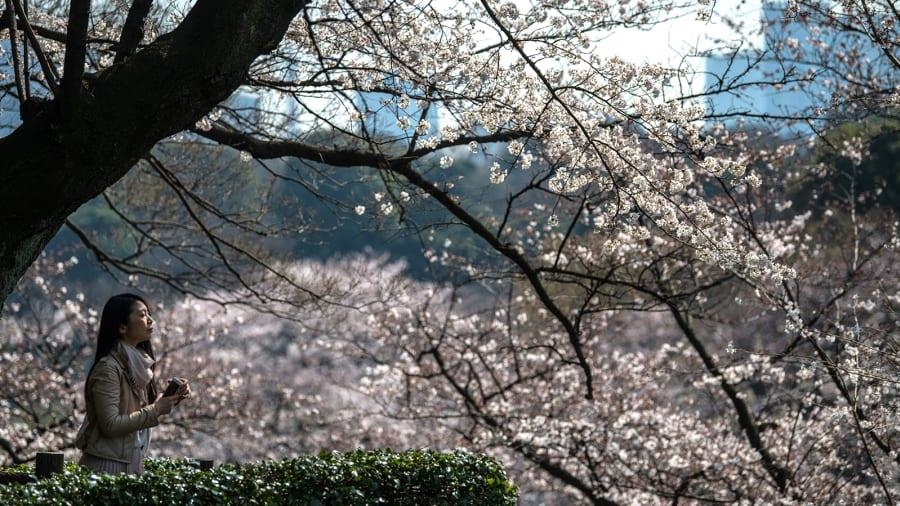 hoang cung tokyo