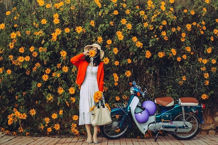 mua da quy no ro tu ba vi hung vi den da lat mong mo