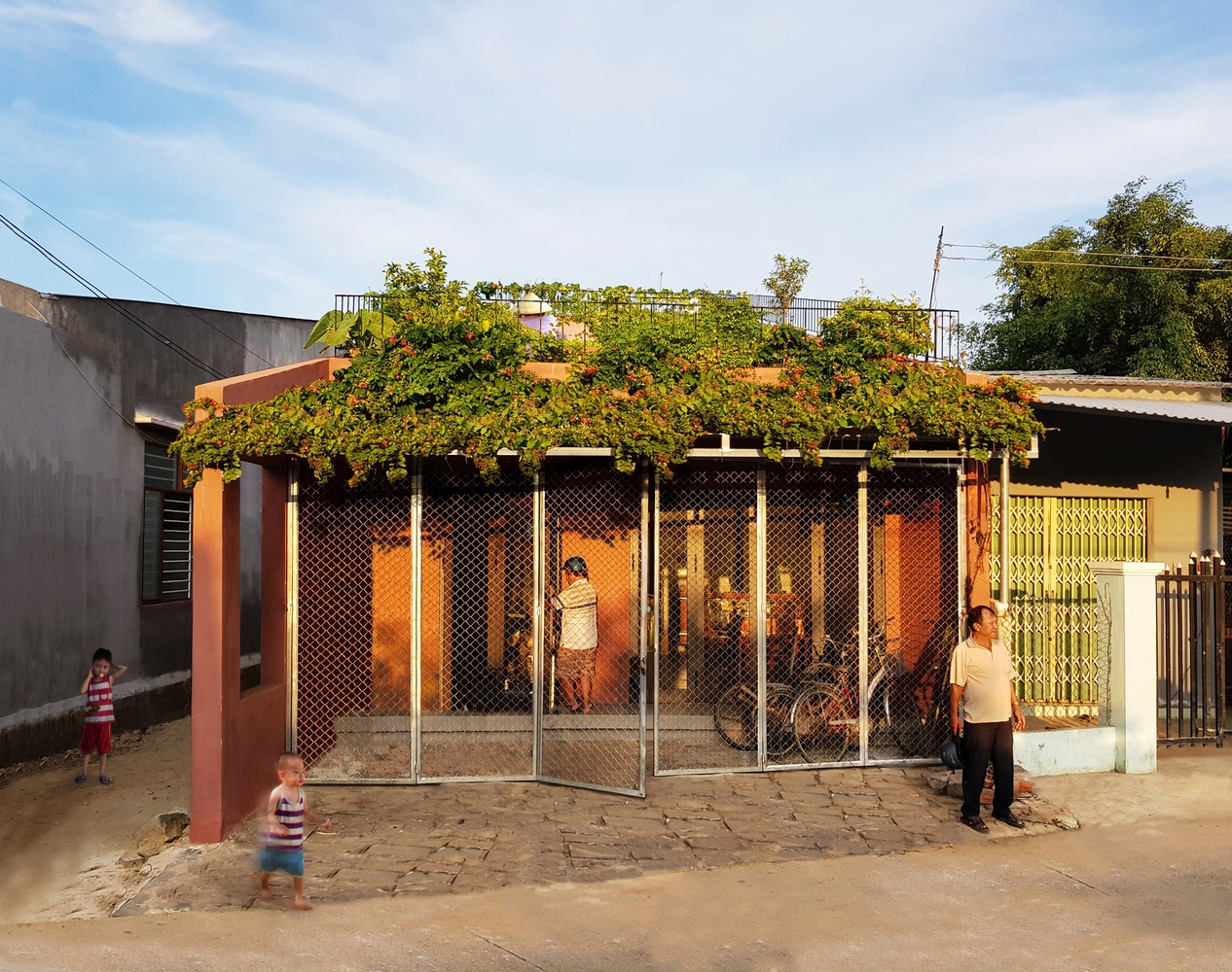 Vườn rau 7 bậc thang trên mái nhà ở Quảng Ngãi lên báo nước ngoài vuon rau 7 bac thang tren mai nha o quang ngai len bao nuoc ngoai