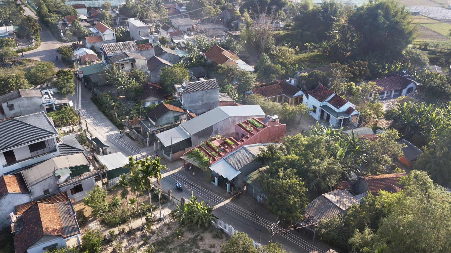 Vườn rau 7 bậc thang trên mái nhà ở Quảng Ngãi lên báo nước ngoài vuon rau 7 bac thang tren mai nha o quang ngai len bao nuoc ngoai