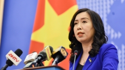 yeu cau hoan thien the che va nang cao nang luc cho doanh nghiep viet nam theo hiep dinh cptpp