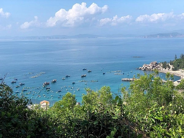 Thăm Quy Nhơn phải ghé Cù Lao Xanh không thì phí cả chuyến đi den quy nhon phai ghe cu lao xanh khong thi phi ca chuyen di