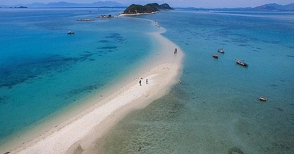 Thăm Quy Nhơn phải ghé Cù Lao Xanh không thì phí cả chuyến đi den quy nhon phai ghe cu lao xanh khong thi phi ca chuyen di