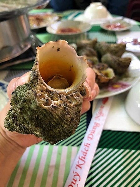 Thăm Quy Nhơn phải ghé Cù Lao Xanh không thì phí cả chuyến đi den quy nhon phai ghe cu lao xanh khong thi phi ca chuyen di