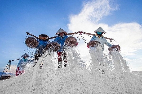 Thị xã Ninh Hòa (Khánh Hòa), nơi chạy trốn xô bồ để tìm về cõi an yên thi xa ninh hoa khanh hoa noi chay tron xo bo de tim ve coi an yen