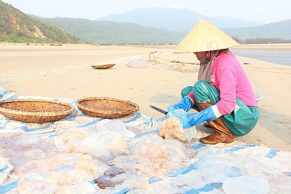Nghề "vớt vàng trắng" trên biển thu nhập cao hơn đánh bắt cá nghe vot vang trang tren bien thu nhap cao hon danh bat ca