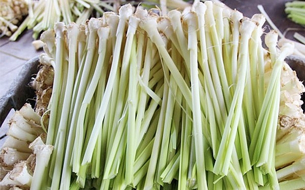 Thăm lại nhà công tử Bạc Liêu và thưởng thức mĩ vị lạ lùng của xứ đờn ca tài tử tham lai nha cong tu bac lieu va thuong thuc mi vi la lung cua xu don ca tai tu