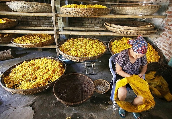 Không chỉ có nghề nấu phở trứ danh, Nam Định còn có rất nhiều ngành nghề nổi tiếng cả nước khong chi co nghe nau pho tru danh nam dinh con co rat nhieu nganh nghe noi tieng ca nuoc