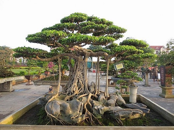 Không chỉ có nghề nấu phở trứ danh, Nam Định còn có rất nhiều ngành nghề nổi tiếng cả nước khong chi co nghe nau pho tru danh nam dinh con co rat nhieu nganh nghe noi tieng ca nuoc