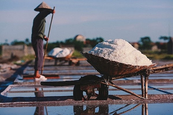 Không chỉ có nghề nấu phở trứ danh, Nam Định còn có rất nhiều ngành nghề nổi tiếng cả nước khong chi co nghe nau pho tru danh nam dinh con co rat nhieu nganh nghe noi tieng ca nuoc