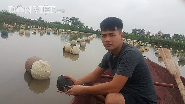 Ninh Bình: "Ném" 4 tỷ xuống ao, bắt trai nhả ngọc, 9X thu tiền tỷ ninh binh nem 4 ty xuong ao bat trai nha ngoc 9x thu tien ty