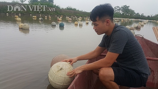 Ninh Bình: "Ném" 4 tỷ xuống ao, bắt trai nhả ngọc, 9X thu tiền tỷ ninh binh nem 4 ty xuong ao bat trai nha ngoc 9x thu tien ty