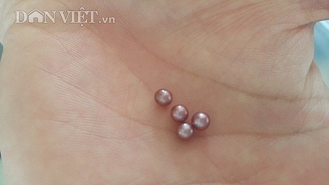 Ninh Bình: "Ném" 4 tỷ xuống ao, bắt trai nhả ngọc, 9X thu tiền tỷ ninh binh nem 4 ty xuong ao bat trai nha ngoc 9x thu tien ty