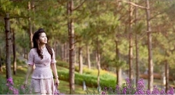 luat su noi gi ve vu cuong che ba le hoang diep thao tra con dau cho trung nguyen