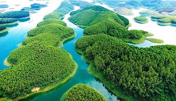 Đến Yên Bái mua đá quý, uống chè Tuyết Shan, ngắm "Hạ Long trên núi" den yen bai mua da quy uong che tuyet shan xem mua xoe thai