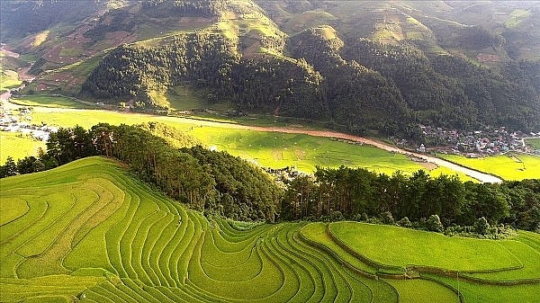 Đến Yên Bái mua đá quý, uống chè Tuyết Shan, ngắm "Hạ Long trên núi" den yen bai mua da quy uong che tuyet shan xem mua xoe thai