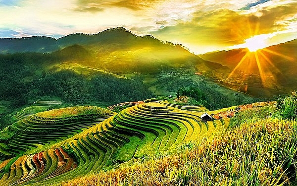 Đến Yên Bái mua đá quý, uống chè Tuyết Shan, ngắm "Hạ Long trên núi" den yen bai mua da quy uong che tuyet shan xem mua xoe thai