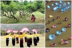 Đến Yên Bái mua đá quý, uống chè Tuyết Shan, ngắm 