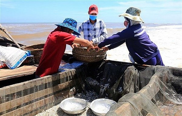 Biển Lăng Cô (Huế): Nơi mang vẻ đẹp như tranh thủy mặc bien lang co hue noi mang ve dep nhu tranh thuy mac