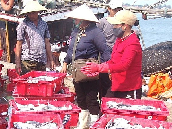 Biển Lăng Cô (Huế): Nơi mang vẻ đẹp như tranh thủy mặc bien lang co hue noi mang ve dep nhu tranh thuy mac