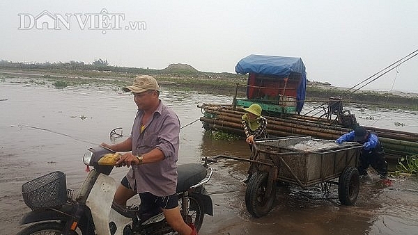Nam Định: Săn vàng trắng nổi lập ven bờ biển, kiếm chục triệu/ngày nam dinh san vang trang noi lap ven bo bien kiem chuc trieungay