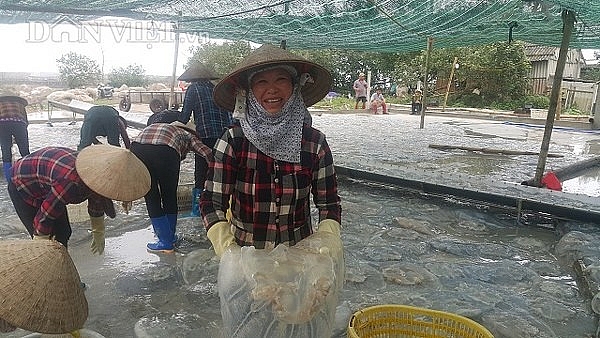 Nam Định: Săn vàng trắng nổi lập ven bờ biển, kiếm chục triệu/ngày nam dinh san vang trang noi lap ven bo bien kiem chuc trieungay