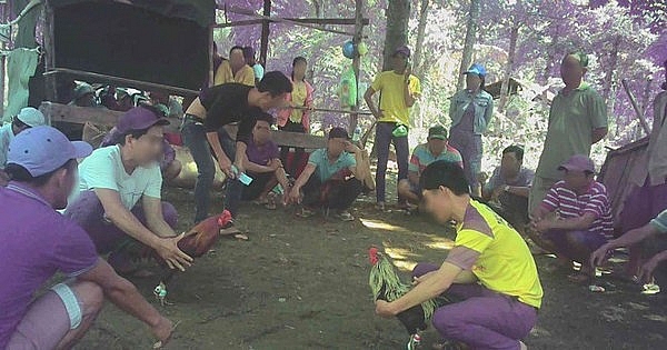 Cờ bạc "đại náo" vùng biên: Ném tiền vào ổ bạc co bac dai nao vung bien nem tien vao o bac