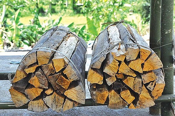 Khám phá phong tục cưới hỏi độc đáo của người Bhnong ở Quảng Nam kham pha phong tuc cuoi hoi doc dao cua nguoi bhnong o quang nam