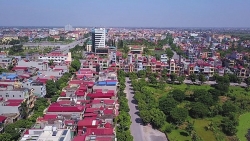 Tỉnh nào của Việt Nam không có núi?
