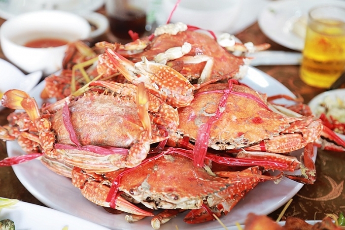 Chiêm ngưỡng vẻ đẹp của bãi biển trữ tình Trà Cổ (Quảng Ninh) chiem nguong ve dep cua bai bien tru tinh tra co quang ninh