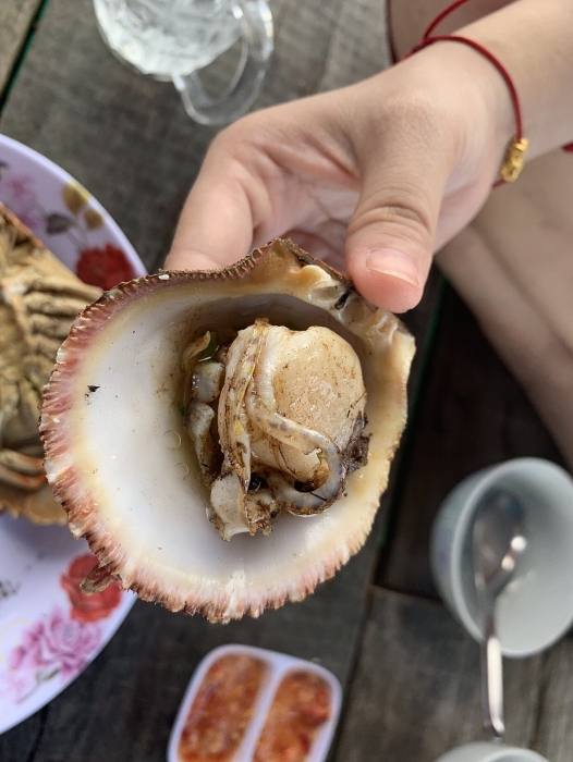 Khám phá vùng đất mới đảo Phú Quý – “viên ngọc thô” xứ Bình Thuận kham pha vung dat moi dao phu quy vien ngoc tho xu binh thuan