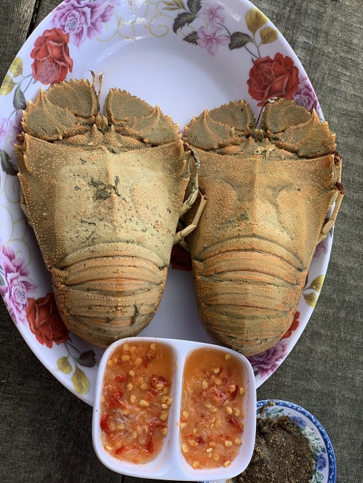 Khám phá vùng đất mới đảo Phú Quý – “viên ngọc thô” xứ Bình Thuận kham pha vung dat moi dao phu quy vien ngoc tho xu binh thuan
