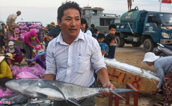 Ngư dân Lý Sơn trúng đậm mẻ cá hơn nửa tỷ đồng ở Hoàng Sa ngu dan ly son trung dam me ca hon nua ty dong o hoang sa
