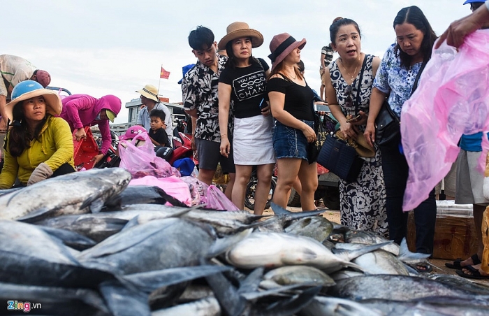 Ngư dân Lý Sơn trúng đậm mẻ cá hơn nửa tỷ đồng ở Hoàng Sa ngu dan ly son trung dam me ca hon nua ty dong o hoang sa