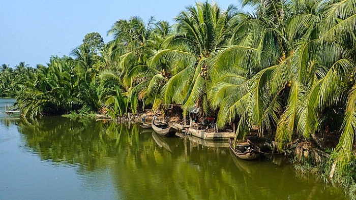 Vùng nào của Việt Nam rộng lớn nhất? vung nao cua viet nam rong lon nhat