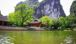 can tet nguyen dan gia ve tham quan trang an tang 25