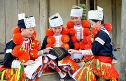 ha noi co bao nhieu don vi hanh chinh truc thuoc