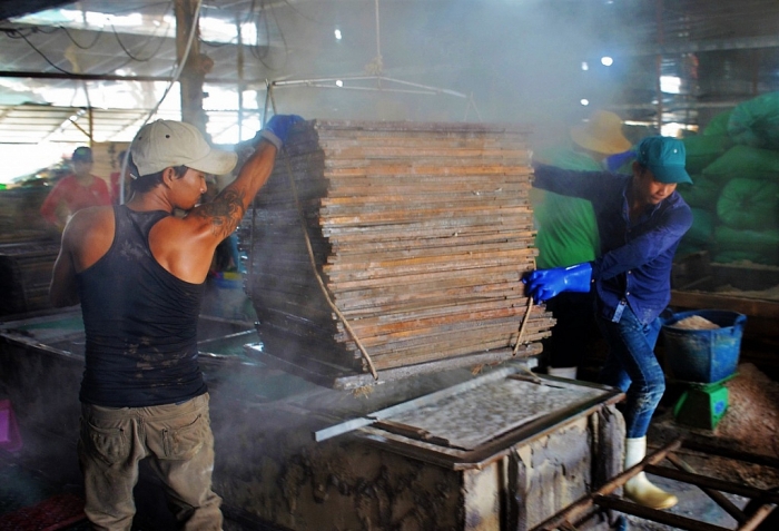 Cà Mau: Kỳ công đánh bắt, hong phơi cá bé tí bán sang Tây ca mau ky cong danh bat hong phoi ca be ti ban sang tay
