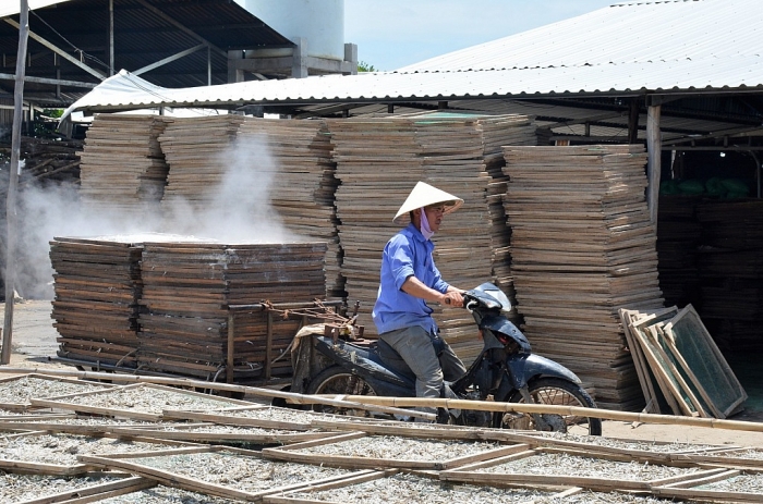 Cà Mau: Kỳ công đánh bắt, hong phơi cá bé tí bán sang Tây ca mau ky cong danh bat hong phoi ca be ti ban sang tay