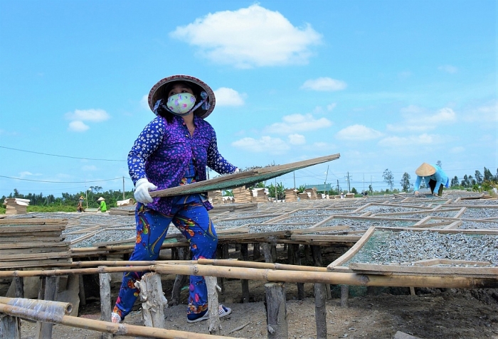 Cà Mau: Kỳ công đánh bắt, hong phơi cá bé tí bán sang Tây ca mau ky cong danh bat hong phoi ca be ti ban sang tay