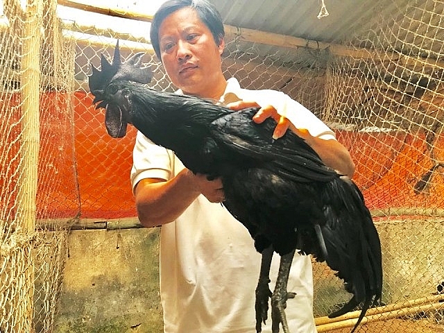 Thạc sỹ bỏ giảng đường đại học về quê "khảo cổ" vịt "tiến vua" thac sy bo giang duong dai hoc ve que khao co vit tien vua